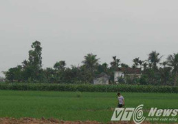 Kỷ luật hàng loạt cán bộ huyện Tiên Lãng