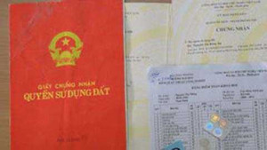 Chiêu lừa độc của 'nữ quái' miền quê