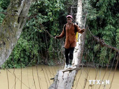 Run bần bật đi trên những cầu treo có một không hai ở VN