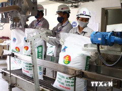 Thanh tra Chính phủ vào cuộc vụ Thông tư tồn tại… một ngày