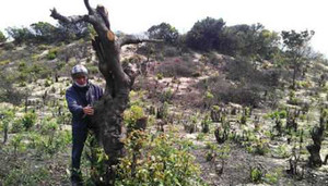 Điểm mặt những 'thiên đường du lịch' cạo trọc núi rừng