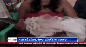 Chuyện chỉ có ở Mexico: Người cưới cá sấu