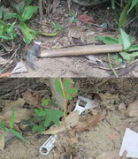 Đã bắt được hung thủ hạ sát mẹ và bà ngoại