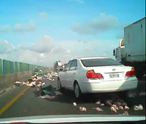 Clip: 'Mưa' thịt gà sau màn va chạm của 2 xe tải