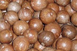 1 triệu đồng/kg nhân hạt cây 'tỷ đô' ở Việt Nam