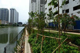 Khốn khổ vì chung cư cao cấp, chất lượng bình dân