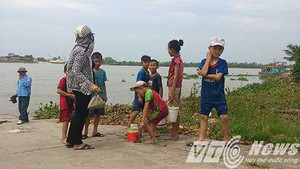 Hải Phòng: 5 học sinh tắm sông, 1 em chết đuối