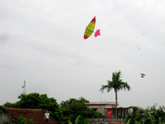 Dân Thái Bình hồn nhiên thả diều lúc Thần Sấm đổ bộ