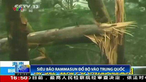 Clip: Kinh hoàng bão Thần Sấm quật gãy hàng loạt cây xanh