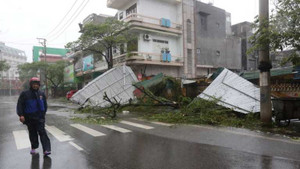 Bão Thần Sấm đánh tung mái nhà, lả tả như lá