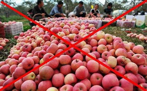 Trái cây độc TQ tuồn vào VN: Quan chức lên tiếng về kẽ hở chết người