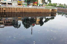 Truy nguyên nhân cá chết trắng kênh Nhiêu Lộc –Thị Nghè