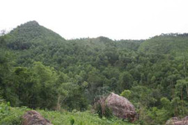 Rùng rợn kỳ án nấu nhầm xương người thành cao