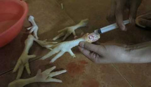 Bí mật hết hồn món khoái khẩu của dân nhậu