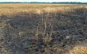 Báo Anh tìm ra địa điểm nghi đã bắn tên lửa vào MH17?