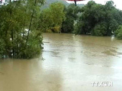 Trú mưa trong nhà, hai mẹ con bị sét đánh chết