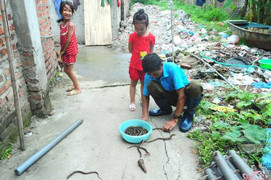 Chuyện lạ ở Hà Nội: Bắt lươn giữa… cao ốc