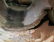 Vỡ ống Sông Đà, Vinaconex khéo đẩy lỗi cho các 'con'