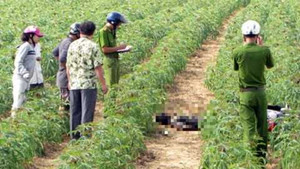 Chàng trai chết giữa đồng, trăm lời điều tiếng
