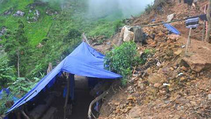 Băm rừng xẻ núi tìm vàng vì lời đồn