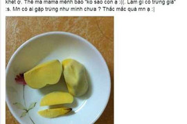 Trứng gà bóp không vỡ, đốt cháy khét xuất hiện ở Hà Nội