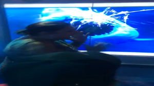 Clip: Cá mập tấn công người trong viện bảo tàng