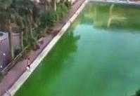Bể bơi xanh lét hóa trong vắt sau khi rắc hóa chất