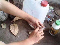 Xuất hiện chất 'sát thủ' giữ hoa quả 1 tháng vẫn tươi