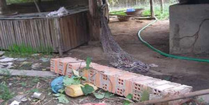 Đang nằm võng bị cột đè chết