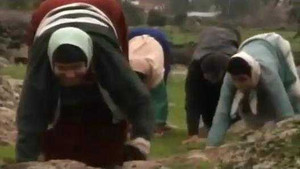 Kì lạ gia đình 'tiến hóa ngược', đi bằng 4 chân