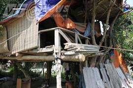 Chuyện 'dị nhân' buồn đời dựng nhà trên cây để ở