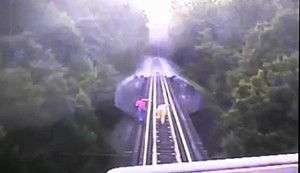 Nhanh trí nằm giữa đường ray xe lửa, thoát chết trong gang tấc