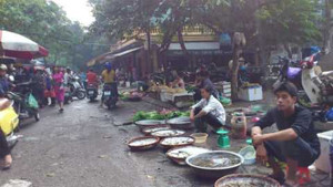 Đất dự án bỏ hoang, Hà Nội vẫn khẳng định chợ cóc 'mọc' vì không có đất