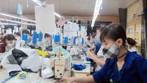 Năm 2015, lương tối thiểu có thể tăng 23%