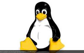 Linh vật: Vũ khí bí mật của các hãng công nghệ