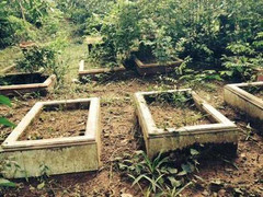 Chuyện lạ nữ đại gia Sài Gòn xây lâu đài cho chó