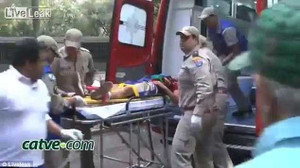 Nghịch dại vuốt ve hổ dữ, bị cắn nát tay