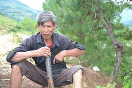 Lão nông nghèo bỗng phát tài vì trúng 'kho báu' cổ