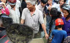 Ba ba có hình mặt người: Có phải ba ba thần?