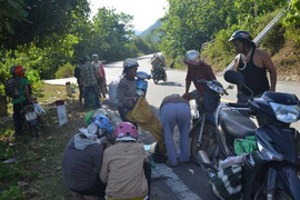 Đổ xô tận thu ươi bán cho Trung Quốc