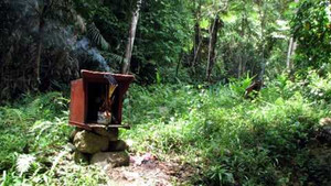 Thảm sát kinh hoàng, 18 phu vàng bị lôi vào rừng bắn chết