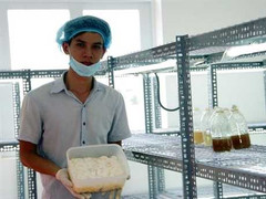 Từ bán vé số dạo, chàng trai 9X trồng thành công dược liệu quý