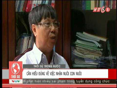 Mua bán trẻ em chùa Bồ Đề: Cục Con nuôi lên tiếng