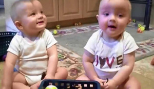 Clip 2 bé sinh đôi bụ bẫm đua nhau bắt chước bố hắt hơi