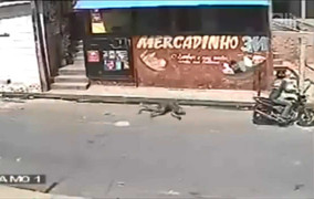 Trộm đen đủi chưa chôm được gì đã bị đánh bay khỏi cửa