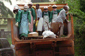 'Nạn nhân số 0' của đại dịch Ebola đang đe doạ thế giới