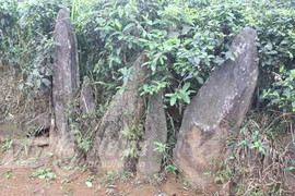 Bí ẩn nghĩa địa chôn những người bị hổ vồ bên sông Mã