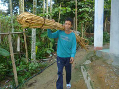 'Người rừng' đã ngán rừng, thích gái chưa chồng