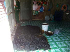 Ghê người công nghệ làm khô bò đen từ phổi heo