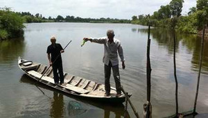 Mỏ vàng ở 'cánh đồng chó ngáp'